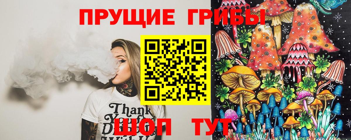 Псилоцибиновые грибы ЛСД Дербент